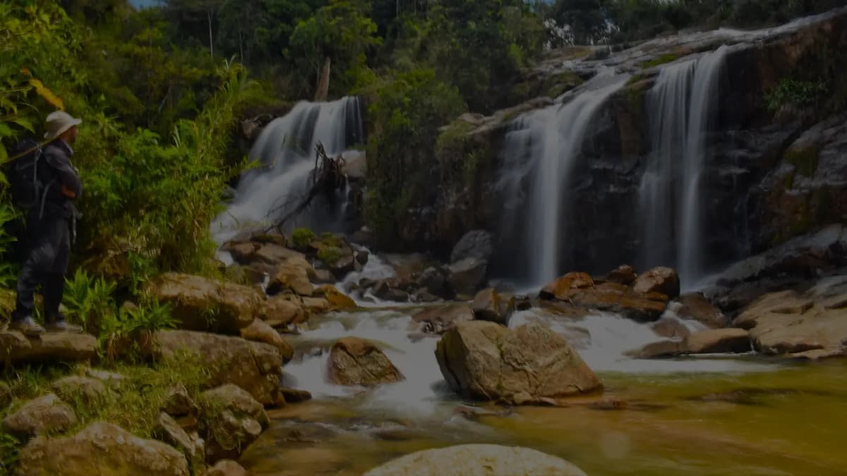 Hero section background